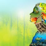 International Day for Biological Diversity 2020: Spotlight on nature-based  solutions