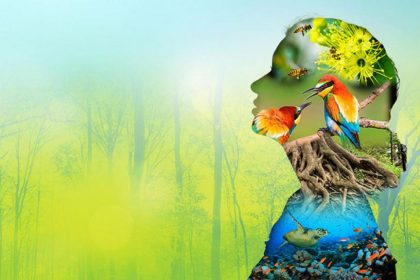 International Day for Biological Diversity 2020: Spotlight on nature-based  solutions