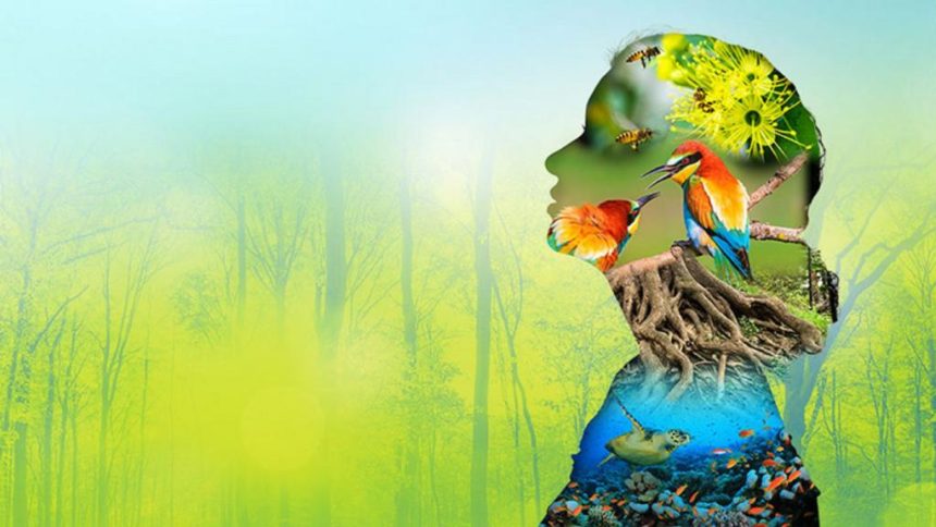 International Day for Biological Diversity 2020: Spotlight on nature-based  solutions