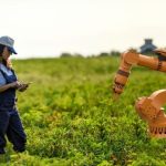 The Agricultural Revolution: How AI is Transforming Farming for a  Sustainable Future - Bright Idea Space