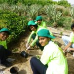 How Green Campus Help Students to Save The Planet | EcoMENA