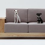 A pet-friendly sofa made just for you and your 'Pawfect' buddy! - Yanko  Design